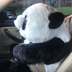 Meet your Posher, Bing